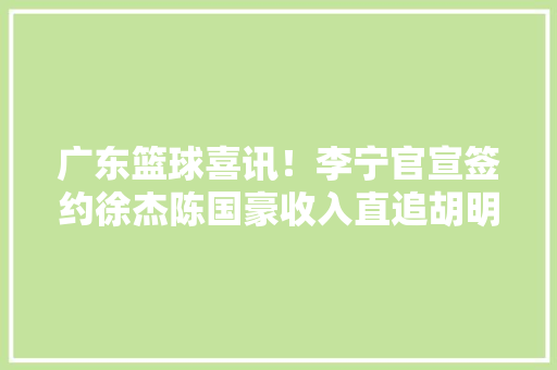 广东篮球喜讯！李宁官宣签约徐杰陈国豪收入直追胡明轩赵继伟 人工智能