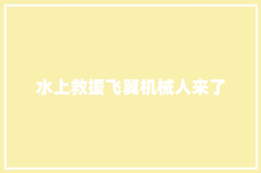 水上救援飞翼机械人来了 人工智能