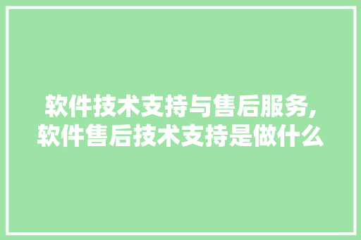 软件技术支持与售后服务,软件售后技术支持是做什么的。 软件技术