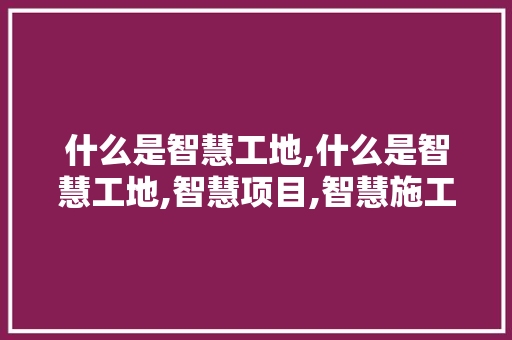 什么是智慧工地,什么是智慧工地,智慧项目,智慧施工,智慧城市,智慧地球。 智能科技