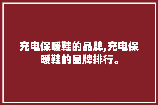 充电保暖鞋的品牌,充电保暖鞋的品牌排行。 智能科技