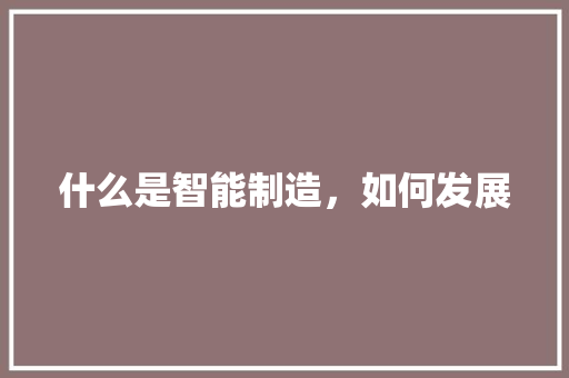 什么是智能制造，如何发展 人工智能