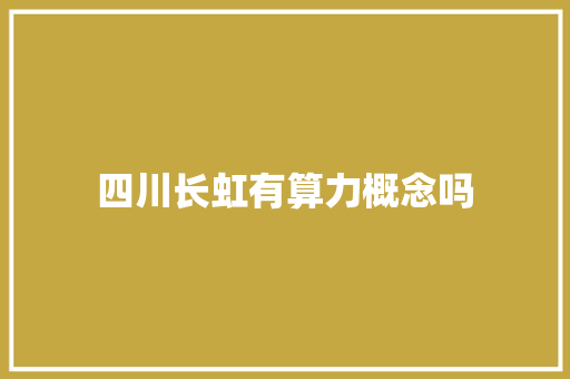四川长虹有算力概念吗 人工智能
