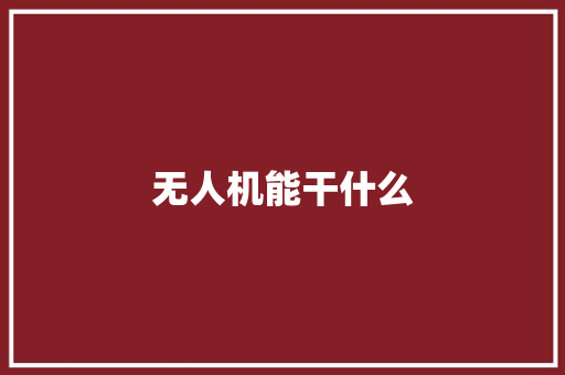 无人机能干什么 人工智能