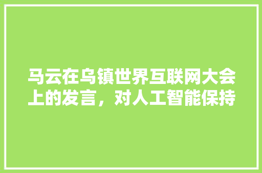 马云在乌镇世界互联网大会上的发言，对人工智能保持乐观态度，你怎么看？  人工智能