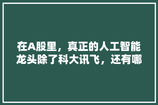 在A股里，真正的人工智能龙头除了科大讯飞，还有哪几个 人工智能