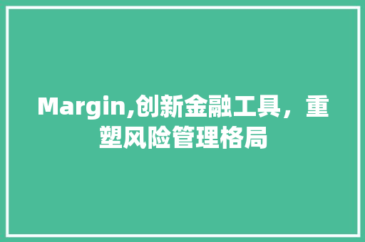 Margin,创新金融工具，重塑风险管理格局 AI场景