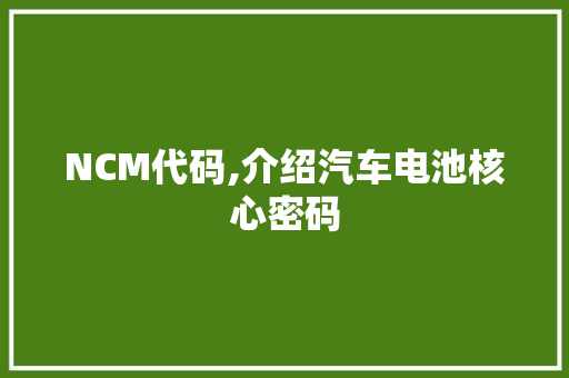 NCM代码,介绍汽车电池核心密码 AI场景