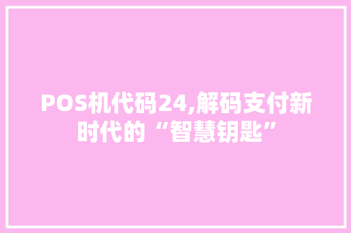 POS机代码24,解码支付新时代的“智慧钥匙” AI场景