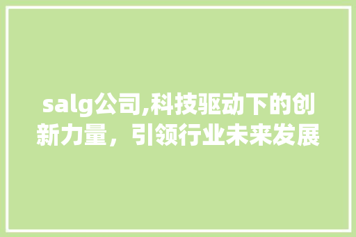salg公司,科技驱动下的创新力量，引领行业未来发展 智能科技