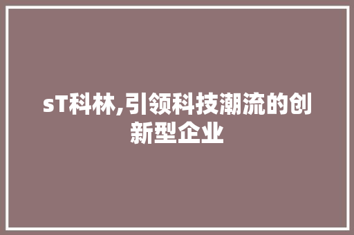 sT科林,引领科技潮流的创新型企业 软件技术