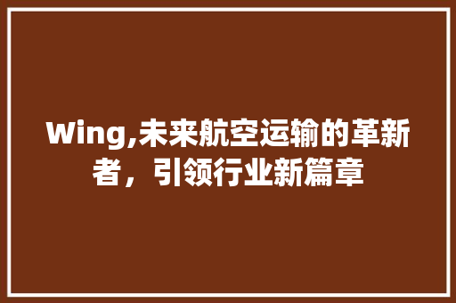 Wing,未来航空运输的革新者，引领行业新篇章 智能科技