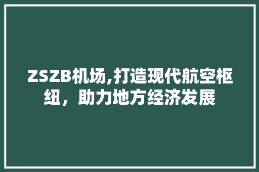 ZSZB机场,打造现代航空枢纽，助力地方经济发展 软件技术