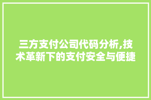 三方支付公司代码分析,技术革新下的支付安全与便捷 智能科技