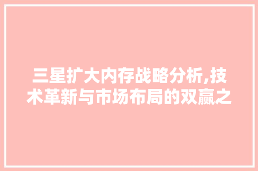 三星扩大内存战略分析,技术革新与市场布局的双赢之路 智能科技