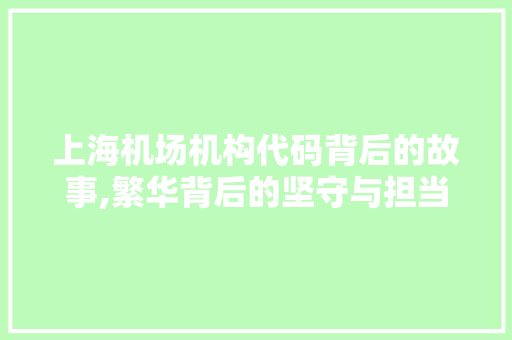 上海机场机构代码背后的故事,繁华背后的坚守与担当 人工智能