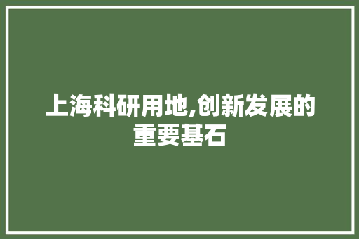 上海科研用地,创新发展的重要基石 AI场景