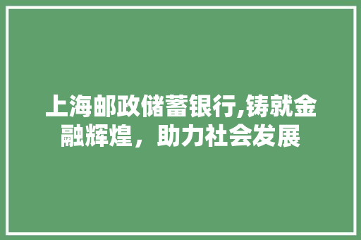 上海邮政储蓄银行,铸就金融辉煌，助力社会发展 AI场景