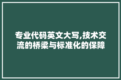 专业代码英文大写,技术交流的桥梁与标准化的保障 人工智能