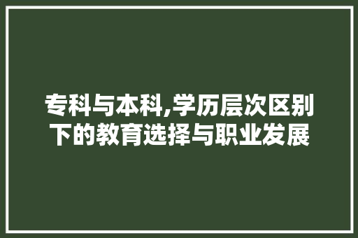 专科与本科,学历层次区别下的教育选择与职业发展 AI场景