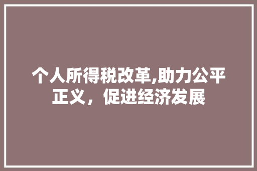 个人所得税改革,助力公平正义，促进经济发展 人工智能