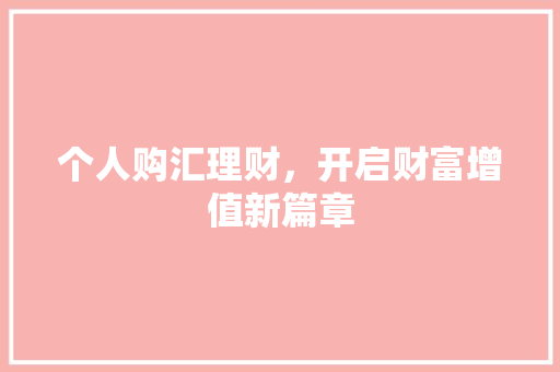 个人购汇理财，开启财富增值新篇章 智能科技