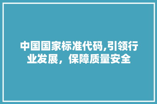 中国国家标准代码,引领行业发展，保障质量安全 智能科技