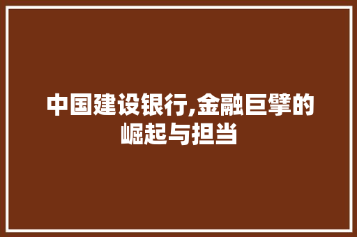 中国建设银行,金融巨擘的崛起与担当 人工智能