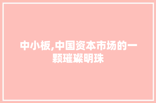 中小板,中国资本市场的一颗璀璨明珠 智能科技
