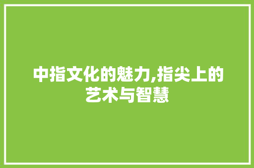 中指文化的魅力,指尖上的艺术与智慧 人工智能