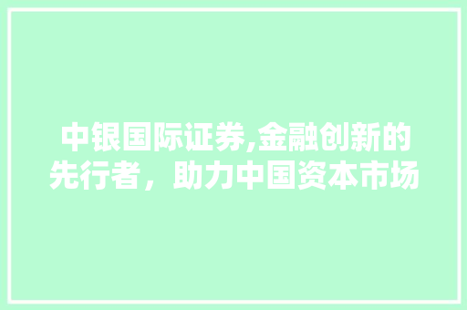 中银国际证券,金融创新的先行者，助力中国资本市场发展 软件技术