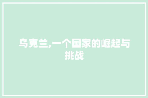 乌克兰,一个国家的崛起与挑战 AI场景