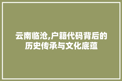 云南临沧,户籍代码背后的历史传承与文化底蕴 软件技术