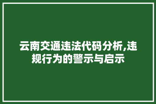 云南交通违法代码分析,违规行为的警示与启示 智能科技