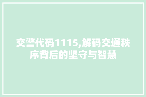 交警代码1115,解码交通秩序背后的坚守与智慧 AI场景