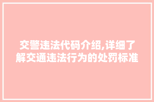 交警违法代码介绍,详细了解交通违法行为的处罚标准 智能科技