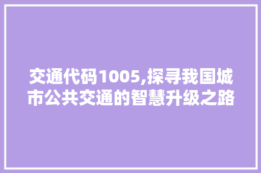 交通代码1005,探寻我国城市公共交通的智慧升级之路 智能科技