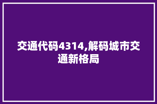 交通代码4314,解码城市交通新格局 软件技术