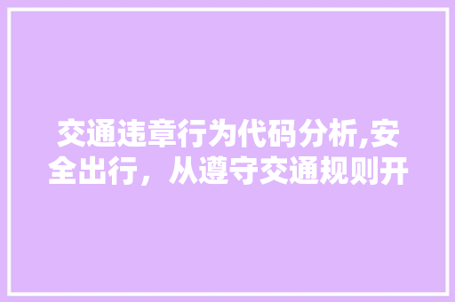 交通违章行为代码分析,安全出行，从遵守交通规则开始 软件技术