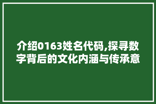 介绍0163姓名代码,探寻数字背后的文化内涵与传承意义 智能科技