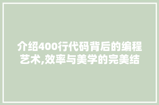 介绍400行代码背后的编程艺术,效率与美学的完美结合 软件技术