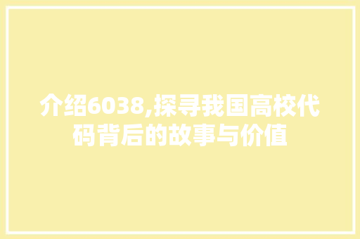 介绍6038,探寻我国高校代码背后的故事与价值 软件技术
