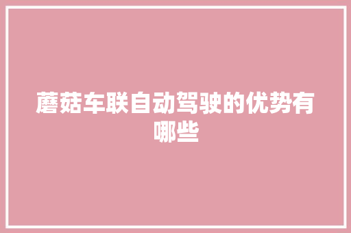 蘑菇车联自动驾驶的优势有哪些 人工智能