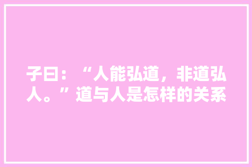 子曰：“人能弘道，非道弘人。”道与人是怎样的关系 人工智能