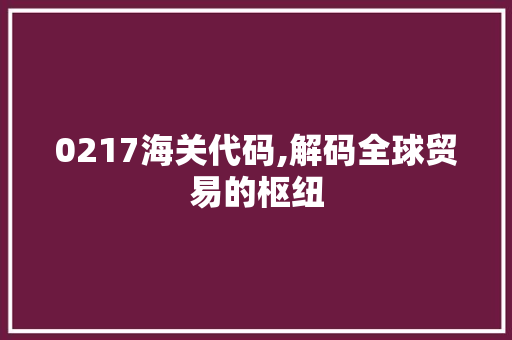 0217海关代码,解码全球贸易的枢纽 AI场景