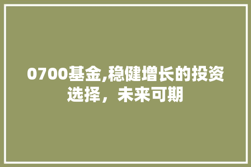 0700基金,稳健增长的投资选择，未来可期 人工智能