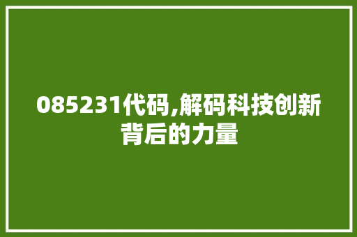 085231代码,解码科技创新背后的力量 智能科技