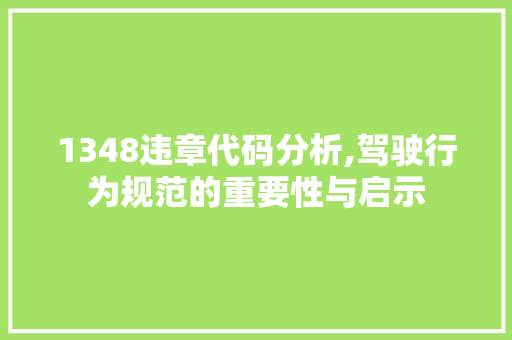 1348违章代码分析,驾驶行为规范的重要性与启示 软件技术