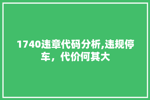 1740违章代码分析,违规停车，代价何其大 人工智能