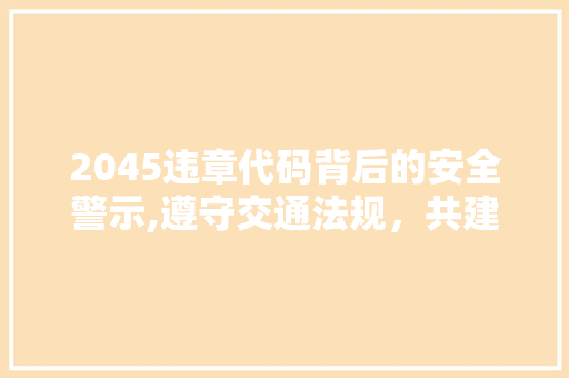 2045违章代码背后的安全警示,遵守交通法规，共建和谐道路 软件技术